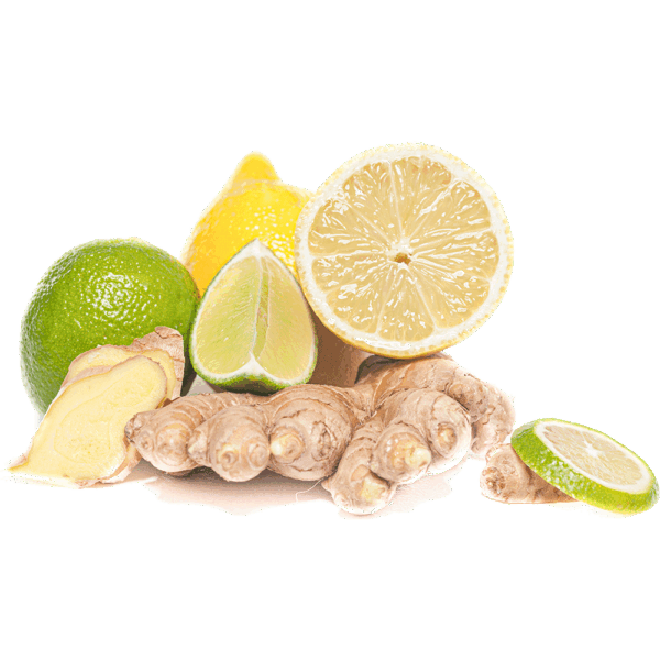Zitrone, Limette & Ingwer (der kleine Vitamin-Booster)