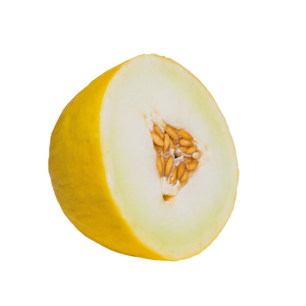 Honig-Melone
