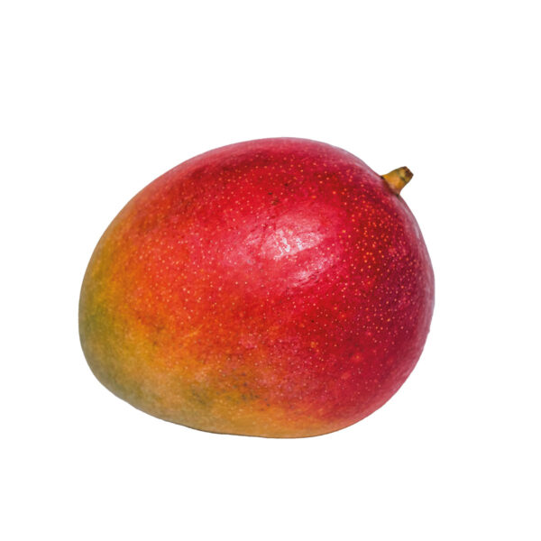 Mango <br>(Flugware - Sorte Kent)